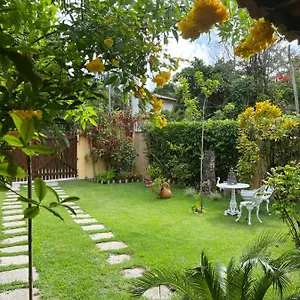  Casa de Férias Casa Tortuga Brasil